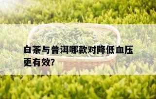 白茶与普洱哪款对降低血压更有效？