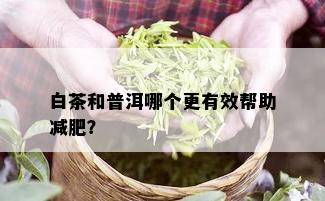 白茶和普洱哪个更有效帮助减肥？