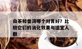 白茶和普洱哪个对胃好？比较它们的消化效果与适宜人群