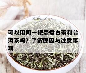 可以用同一把壶煮白茶和普洱茶吗？了解原因与注意事项