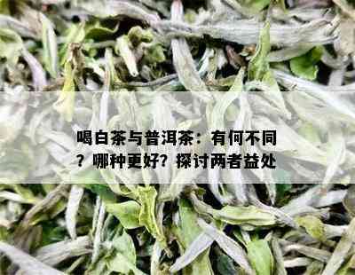 喝白茶与普洱茶：有何不同？哪种更好？探讨两者益处