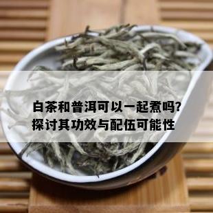 白茶和普洱可以一起煮吗？探讨其功效与配伍可能性