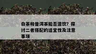 白茶和普洱茶能否混饮？探讨二者搭配的适宜性及注意事项