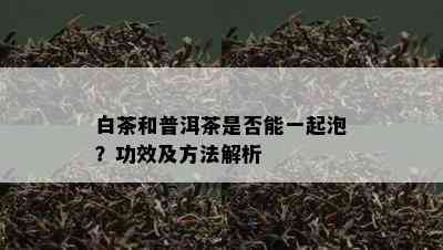 白茶和普洱茶是否能一起泡？功效及方法解析