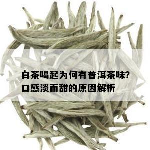 白茶喝起为何有普洱茶味？口感淡而甜的原因解析