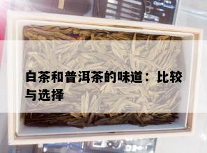 白茶和普洱茶的味道：比较与选择