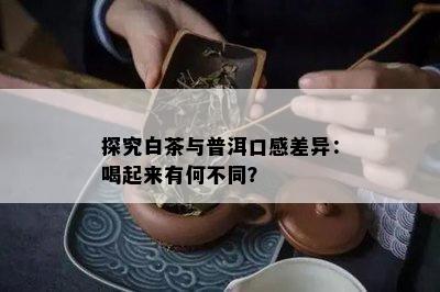 探究白茶与普洱口感差异：喝起来有何不同？