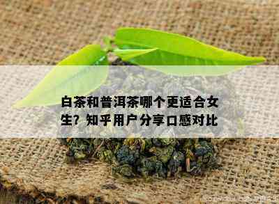 白茶和普洱茶哪个更适合女生？知乎用户分享口感对比