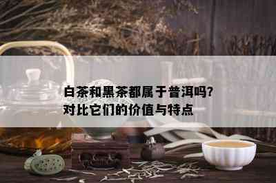 白茶和黑茶都属于普洱吗？对比它们的价值与特点