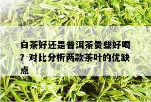 白茶好还是普洱茶贵些好喝？对比分析两款茶叶的优缺点