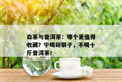 白茶与普洱茶：哪个更值得收藏？宁喝碎银子，不喝十斤普洱茶！