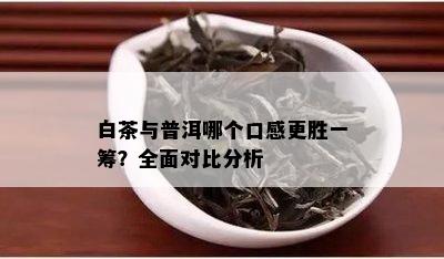 白茶与普洱哪个口感更胜一筹？全面对比分析