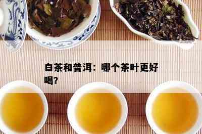 白茶和普洱：哪个茶叶更好喝？