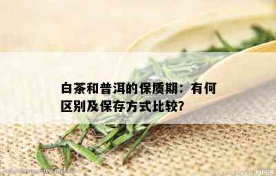 白茶和普洱的保质期：有何区别及保存方式比较？