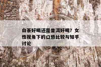 白茶好喝还是普洱好喝？女性视角下的口感比较与知乎讨论