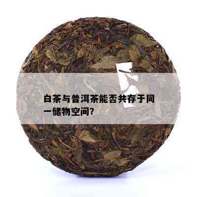 白茶与普洱茶能否共存于同一储物空间？