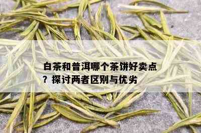 白茶和普洱哪个茶饼好卖点？探讨两者区别与优劣