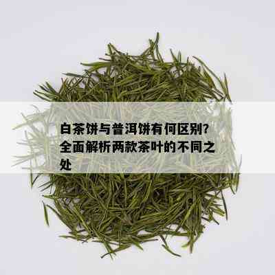 白茶饼与普洱饼有何区别？全面解析两款茶叶的不同之处