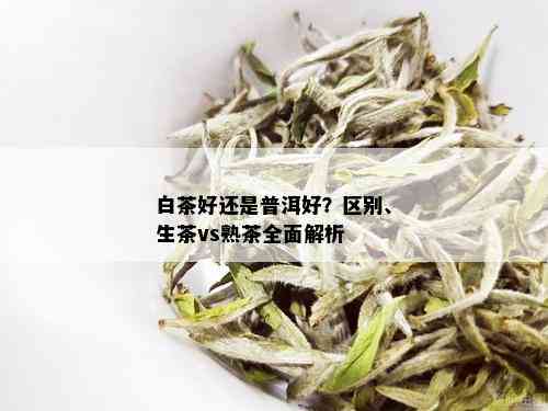 白茶好还是普洱好？区别、生茶vs熟茶全面解析