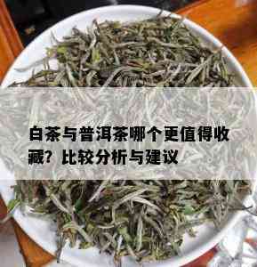 白茶与普洱茶哪个更值得收藏？比较分析与建议