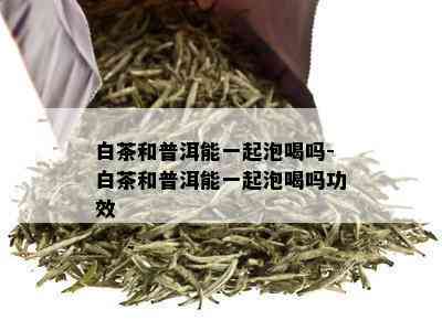 白茶和普洱能一起泡喝吗-白茶和普洱能一起泡喝吗功效