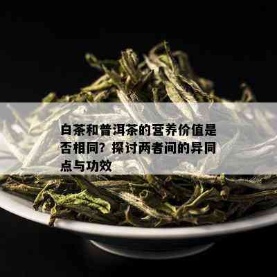 白茶和普洱茶的营养价值是否相同？探讨两者间的异同点与功效