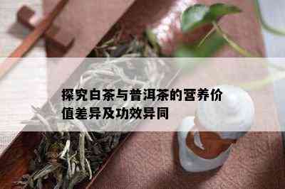 探究白茶与普洱茶的营养价值差异及功效异同