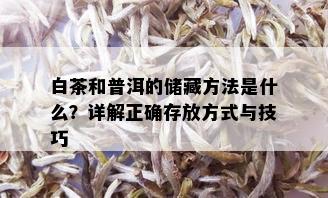 白茶和普洱的储藏方法是什么？详解正确存放方式与技巧