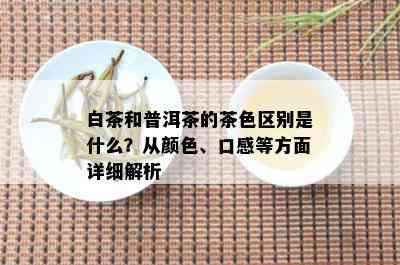 白茶和普洱茶的茶色区别是什么？从颜色、口感等方面详细解析