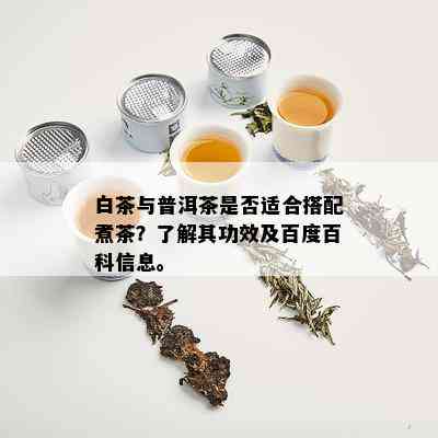 白茶与普洱茶是否适合搭配煮茶？了解其功效及百度百科信息。