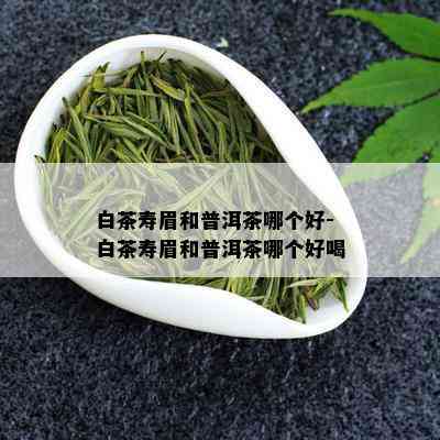 白茶寿眉和普洱茶哪个好-白茶寿眉和普洱茶哪个好喝