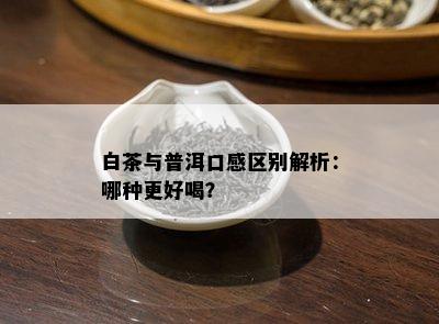 白茶与普洱口感区别解析：哪种更好喝？