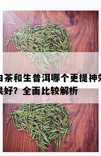 白茶和生普洱哪个更提神效果好？全面比较解析