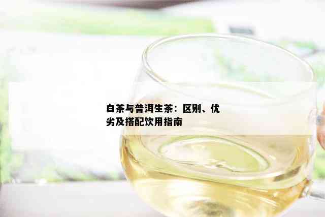 白茶与普洱生茶：区别、优劣及搭配饮用指南