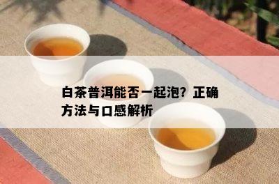 白茶普洱能否一起泡？正确方法与口感解析