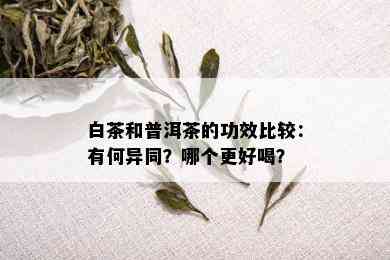 白茶和普洱茶的功效比较：有何异同？哪个更好喝？