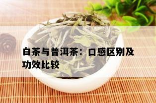 白茶与普洱茶：口感区别及功效比较