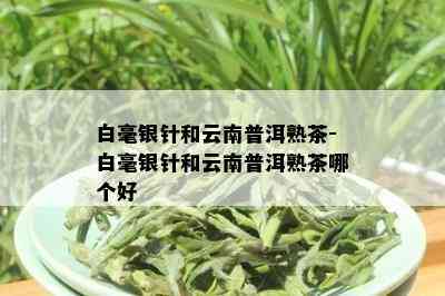 白毫银针和云南普洱熟茶-白毫银针和云南普洱熟茶哪个好