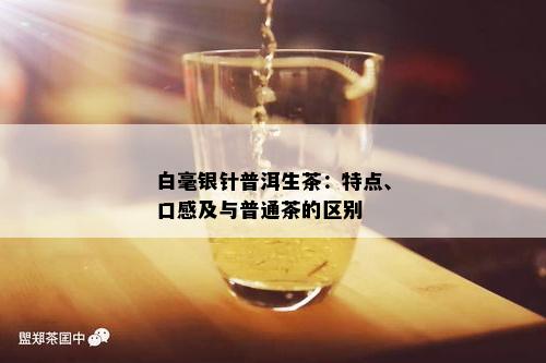 白毫银针普洱生茶：特点、口感及与普通茶的区别