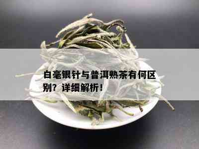 白毫银针与普洱熟茶有何区别？详细解析！