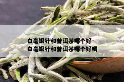 白毫银针和普洱茶哪个好-白毫银针和普洱茶哪个好喝