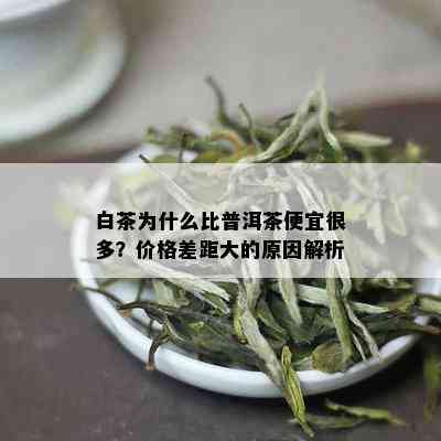 白茶为什么比普洱茶便宜很多？价格差距大的原因解析