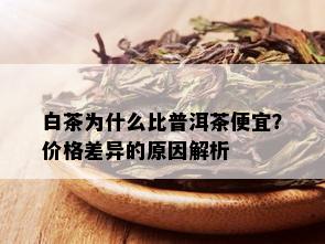 白茶为什么比普洱茶便宜？价格差异的原因解析