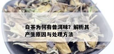 白茶为何有普洱味？解析其产生原因与处理方法