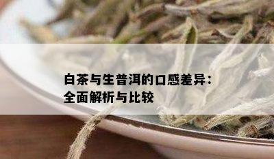 白茶与生普洱的口感差异：全面解析与比较