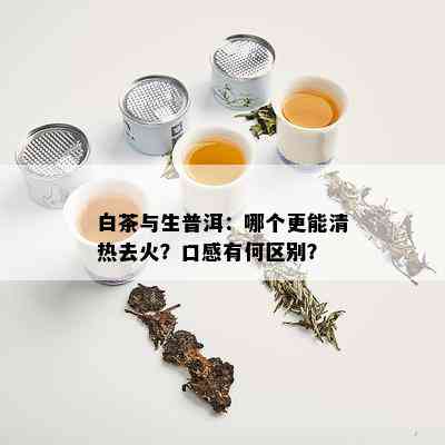 白茶与生普洱：哪个更能清热去火？口感有何区别？