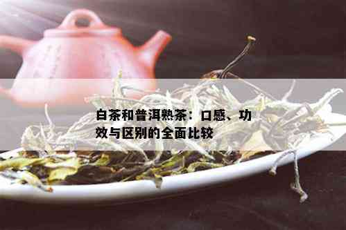 白茶和普洱熟茶：口感、功效与区别的全面比较