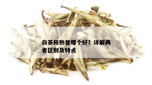 白茶和熟普哪个好？详解两者区别及特点