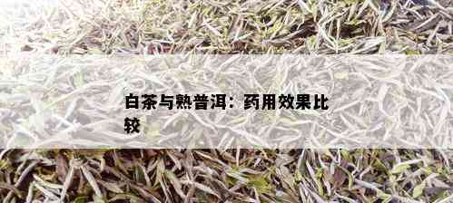 白茶与熟普洱：药用效果比较