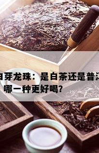 白芽龙珠：是白茶还是普洱？哪一种更好喝？